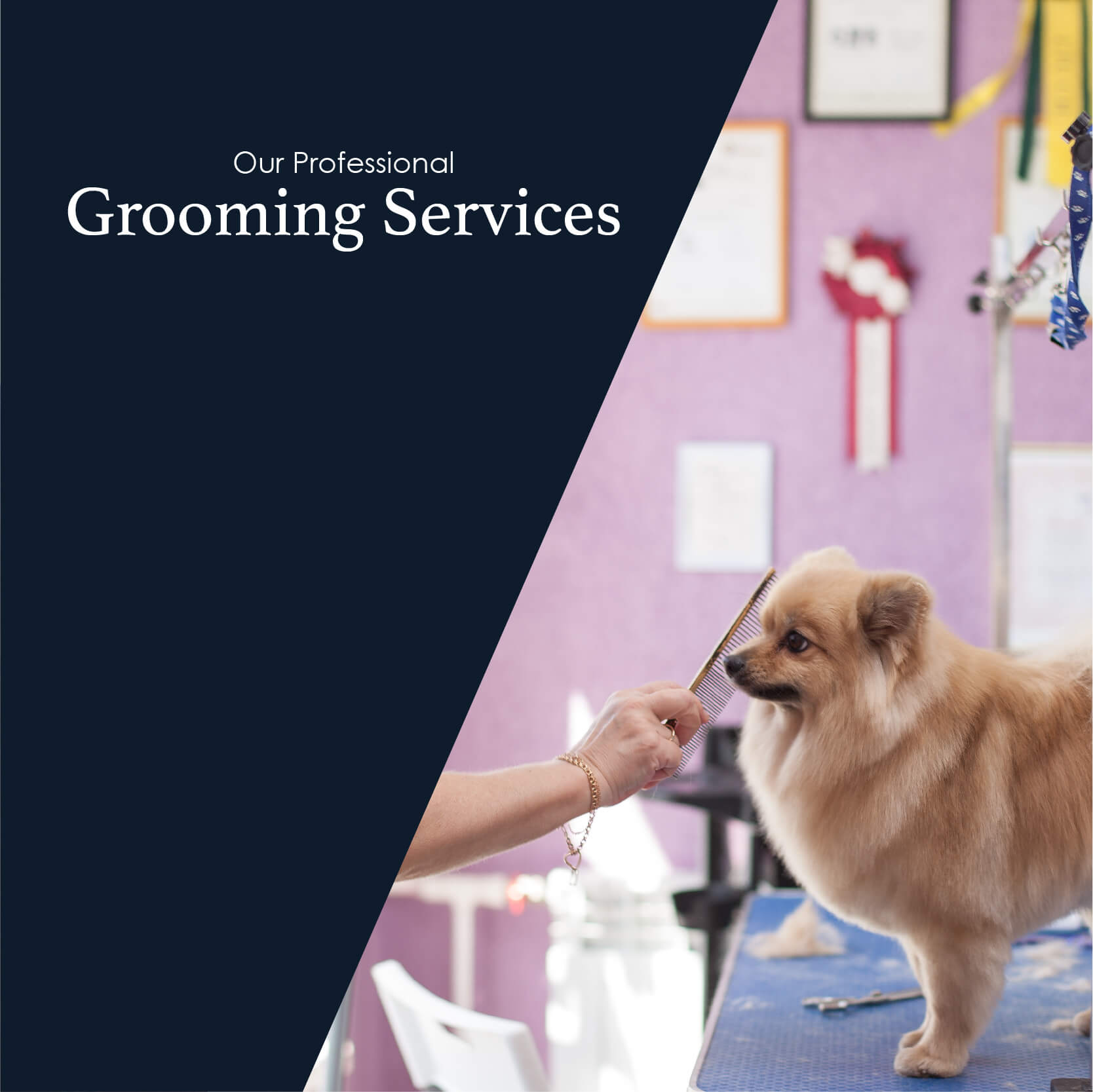 Professional Grooming Services