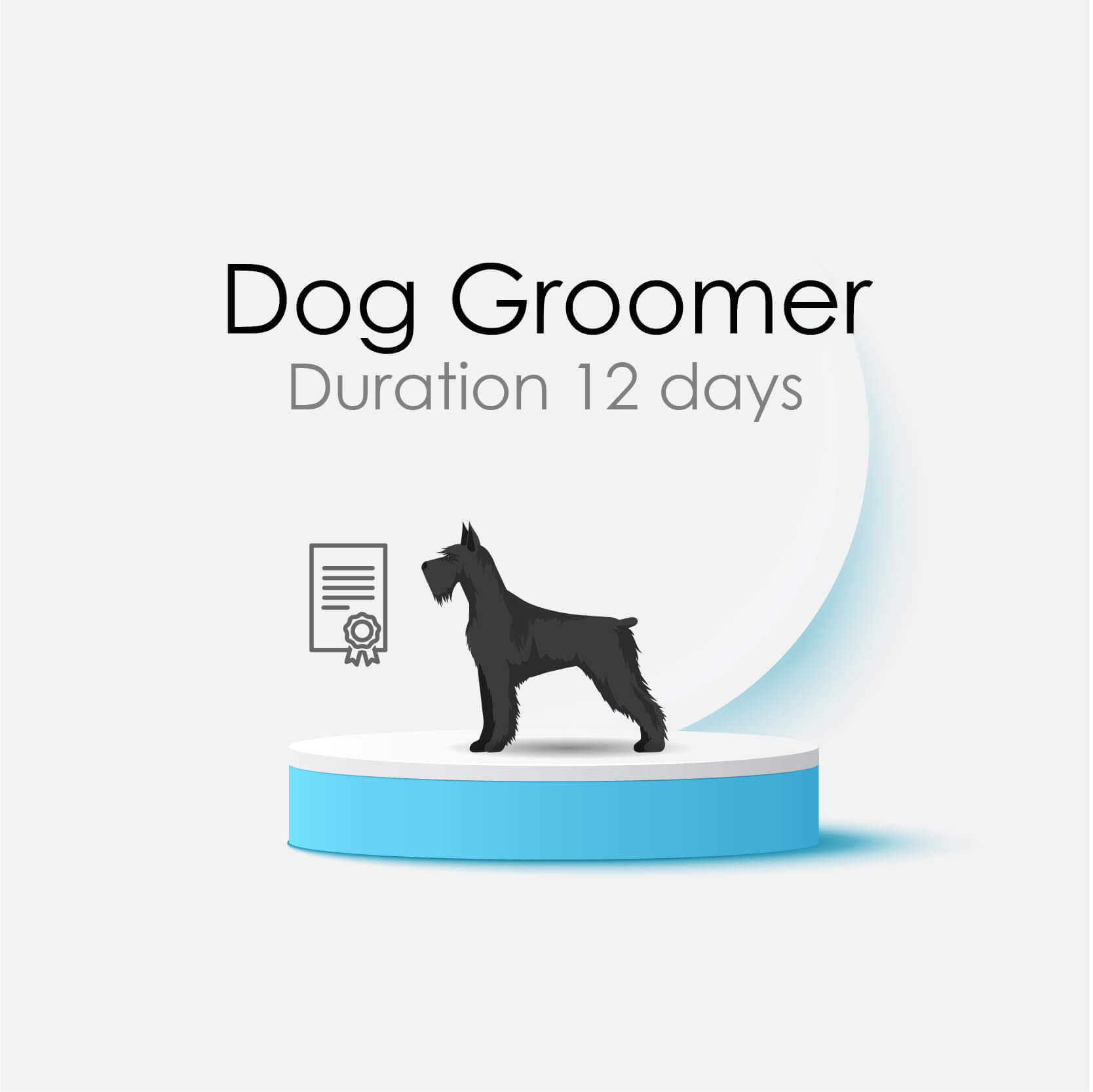 12 Day Dog Groomer Course